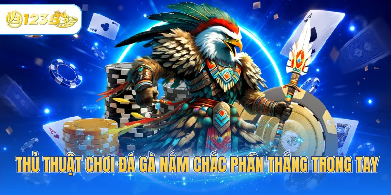 Thủ thuật chơi đá gà nắm chắc phần thắng trong tay